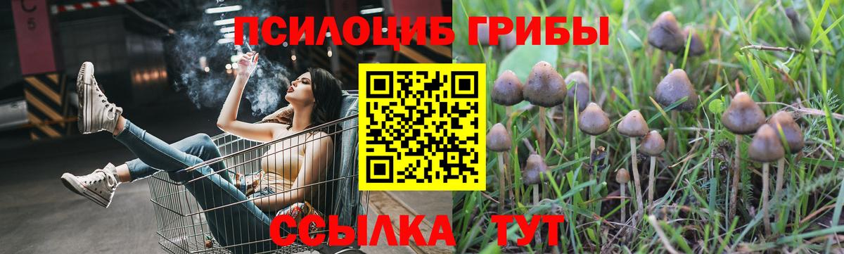 Галлюциногенные грибы Psilocybe Джанкой